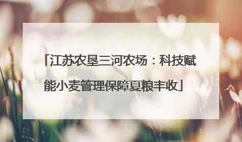 江苏农垦三河农场：科技赋能小麦管理保障夏粮丰收