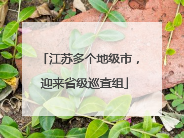 江苏多个地级市，迎来省级巡查组