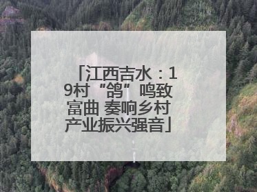 江西吉水：19村“鸽”鸣致富曲 奏响乡村产业振兴强音