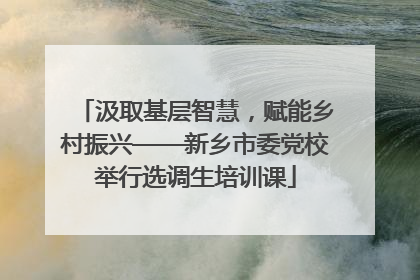 汲取基层智慧，赋能乡村振兴——新乡市委党校举行选调生培训课