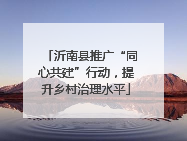 沂南县推广“同心共建”行动，提升乡村治理水平