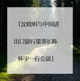 沈晓明与中国进出口银行董事长陈怀宇一行会谈