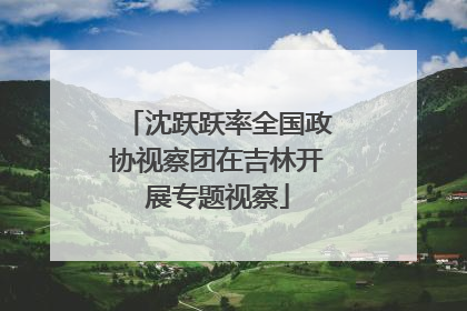 沈跃跃率全国政协视察团在吉林开展专题视察