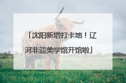 沈阳新增打卡地！辽河非遗美学馆开馆啦