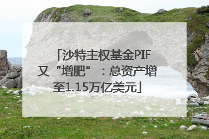 沙特主权基金PIF又“增肥”：总资产增至1.15万亿美元