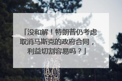 没和解！特朗普仍考虑取消马斯克的政府合同，利益切割容易吗？
