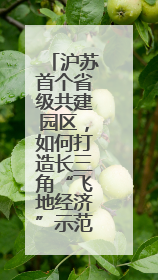 沪苏首个省级共建园区，如何打造长三角“飞地经济”示范区