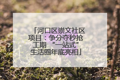 河口区崇文社区项目：争分夺秒抢工期 “一站式”生活圈年底亮相