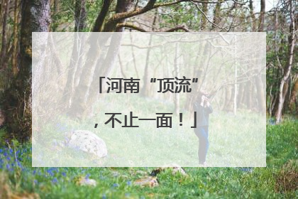 河南“顶流”，不止一面！