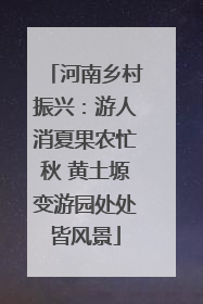河南乡村振兴：游人消夏果农忙秋 黄土塬变游园处处皆风景