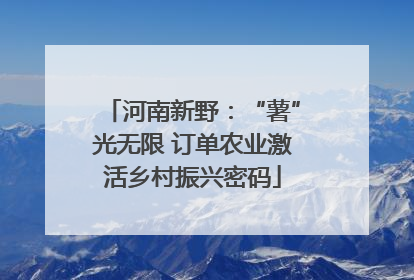 河南新野：“薯”光无限 订单农业激活乡村振兴密码
