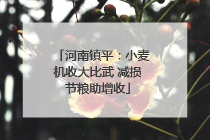河南镇平：小麦机收大比武 减损节粮助增收