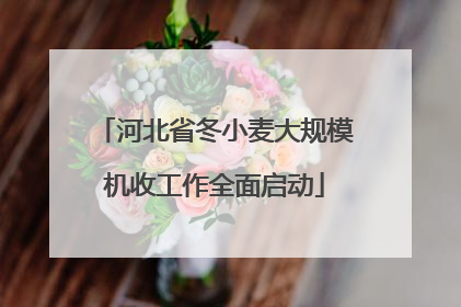 河北省冬小麦大规模机收工作全面启动