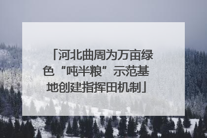 河北曲周为万亩绿色“吨半粮”示范基地创建指挥田机制