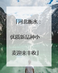 河北衡水：优质新品种小麦迎来丰收