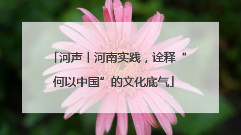 河声丨河南实践，诠释“何以中国”的文化底气
