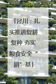 泾川：扎实推进复耕复种 夯实粮食安全“耕”基