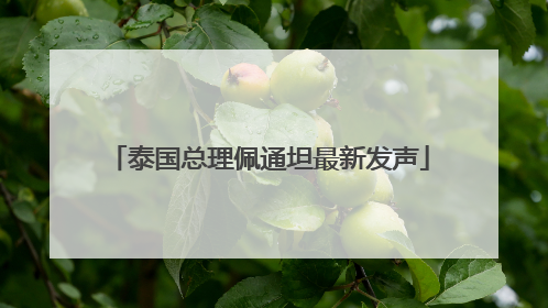 泰国总理佩通坦最新发声