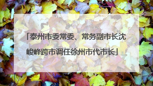 泰州市委常委、常务副市长沈峻峰跨市调任徐州市代市长
