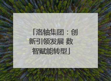 洛轴集团：创新引领发展 数智赋能转型