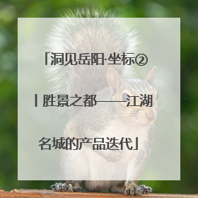 洞见岳阳·坐标②丨胜景之都——江湖名城的产品迭代
