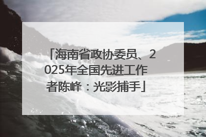 海南省政协委员、2025年全国先进工作者陈峰：光影捕手