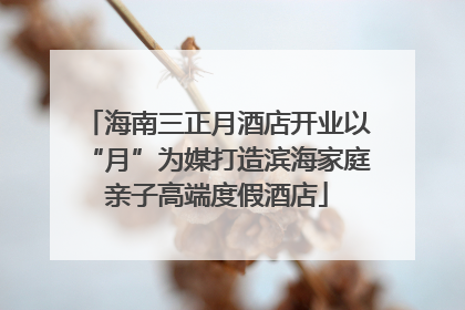 海南三正月酒店开业以“月”为媒打造滨海家庭亲子高端度假酒店