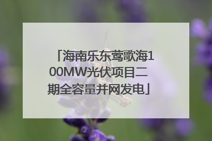 海南乐东莺歌海100MW光伏项目二期全容量并网发电