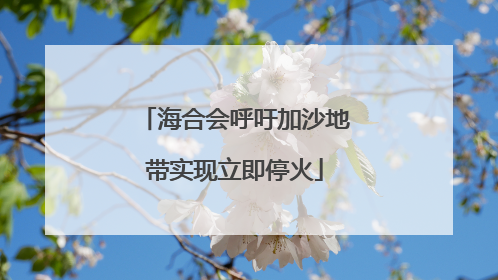 海合会呼吁加沙地带实现立即停火
