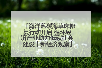 海洋蓝碳海草床修复行动开启 循环经济产业助力低碳社会建设丨新经济观察