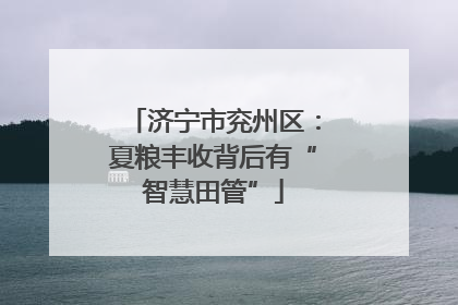 济宁市兖州区：夏粮丰收背后有“智慧田管”