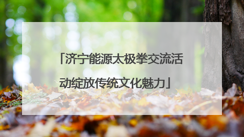 济宁能源太极拳交流活动绽放传统文化魅力