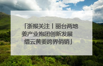 浙报关注丨丽台两地姜产业抱团创新发展 缙云黄姜跨界俏销