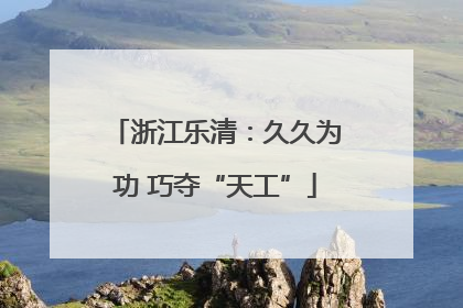 浙江乐清：久久为功 巧夺“天工”