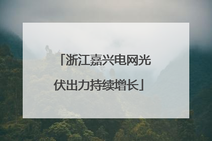 浙江嘉兴电网光伏出力持续增长