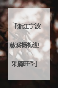 浙江宁波慈溪杨梅迎采摘旺季
