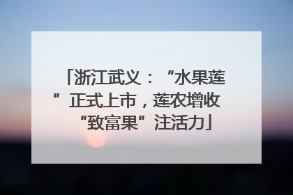 浙江武义：“水果莲”正式上市，莲农增收“致富果”注活力