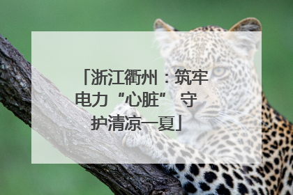 浙江衢州：筑牢电力“心脏” 守护清凉一夏