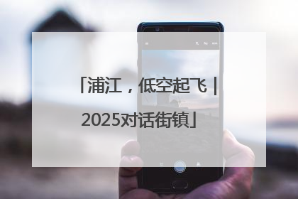 浦江，低空起飞｜2025对话街镇
