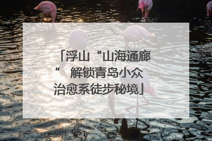 浮山“山海通廊” 解锁青岛小众治愈系徒步秘境
