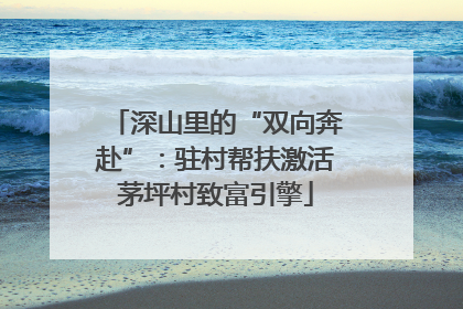 深山里的“双向奔赴”：驻村帮扶激活茅坪村致富引擎
