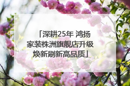 深耕25年 鸿扬家装株洲旗舰店升级焕新刷新高品质