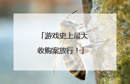 游戏史上最大收购案放行！