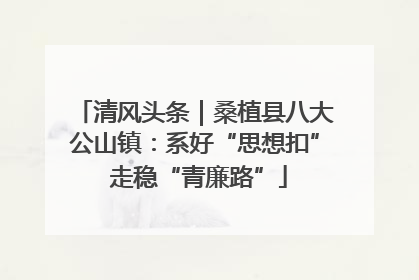 清风头条｜桑植县八大公山镇：系好“思想扣” 走稳“青廉路”
