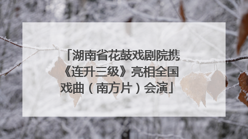 湖南省花鼓戏剧院携《连升三级》亮相全国戏曲（南方片）会演