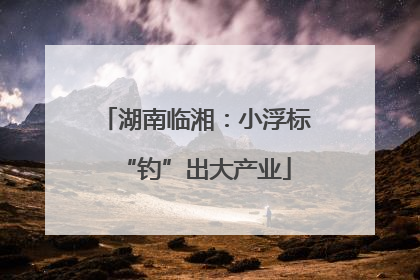 湖南临湘：小浮标“钓”出大产业
