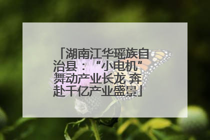 湖南江华瑶族自治县：“小电机”舞动产业长龙 奔赴千亿产业盛景