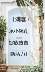 湖南江永小碗莲绽放致富新活力