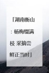 湖南衡山：杨梅缀满枝 采摘尝鲜正当时