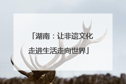 湖南：让非遗文化走进生活走向世界